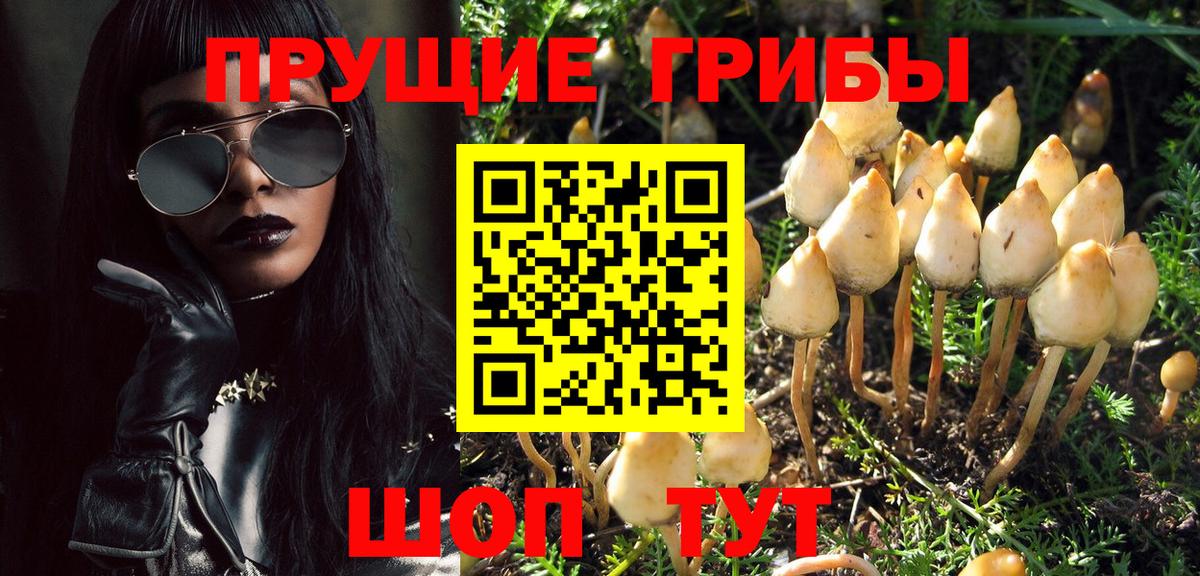 Псилоцибиновые грибы Magic Shrooms Гудермес